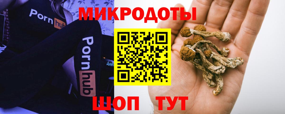 Галлюциногенные грибы MAGIC MUSHROOMS  Вход с VPN  Алексеевка 